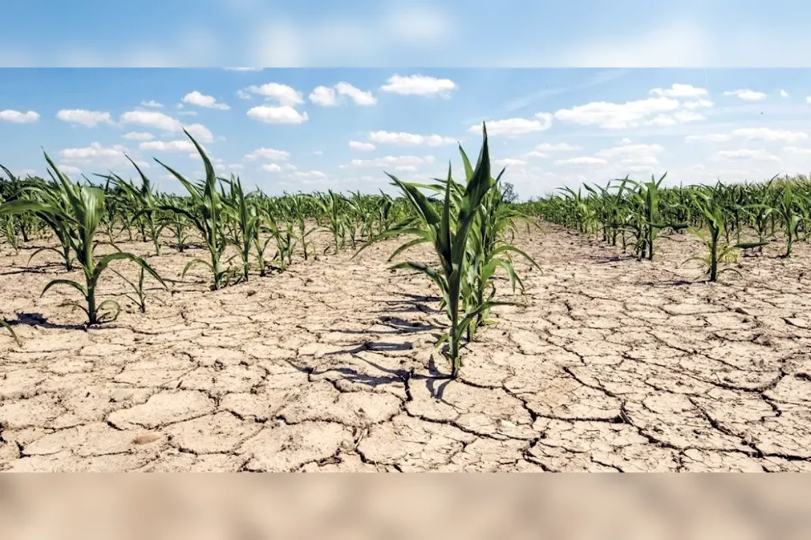 Risques majeurs liés