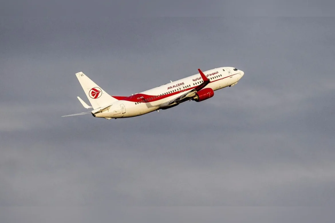 algiers nouvelle promotion