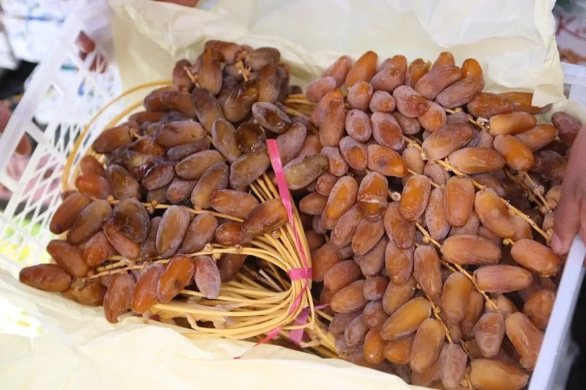 exportation de dattes