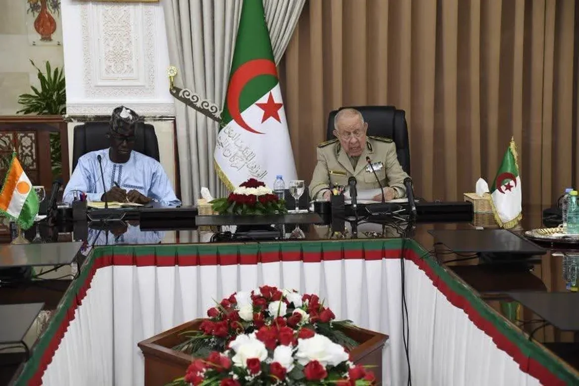 Algérie Niger
