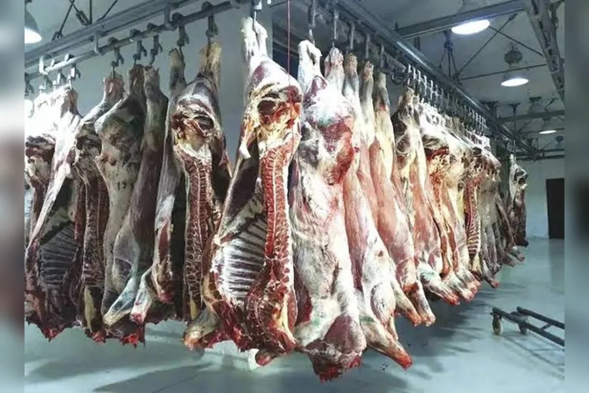 de viande importée