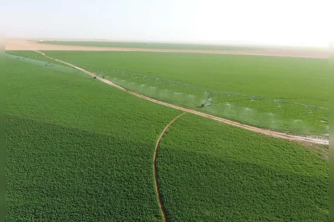 un projet agro